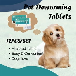 Worm medicine for puppies at walmart online