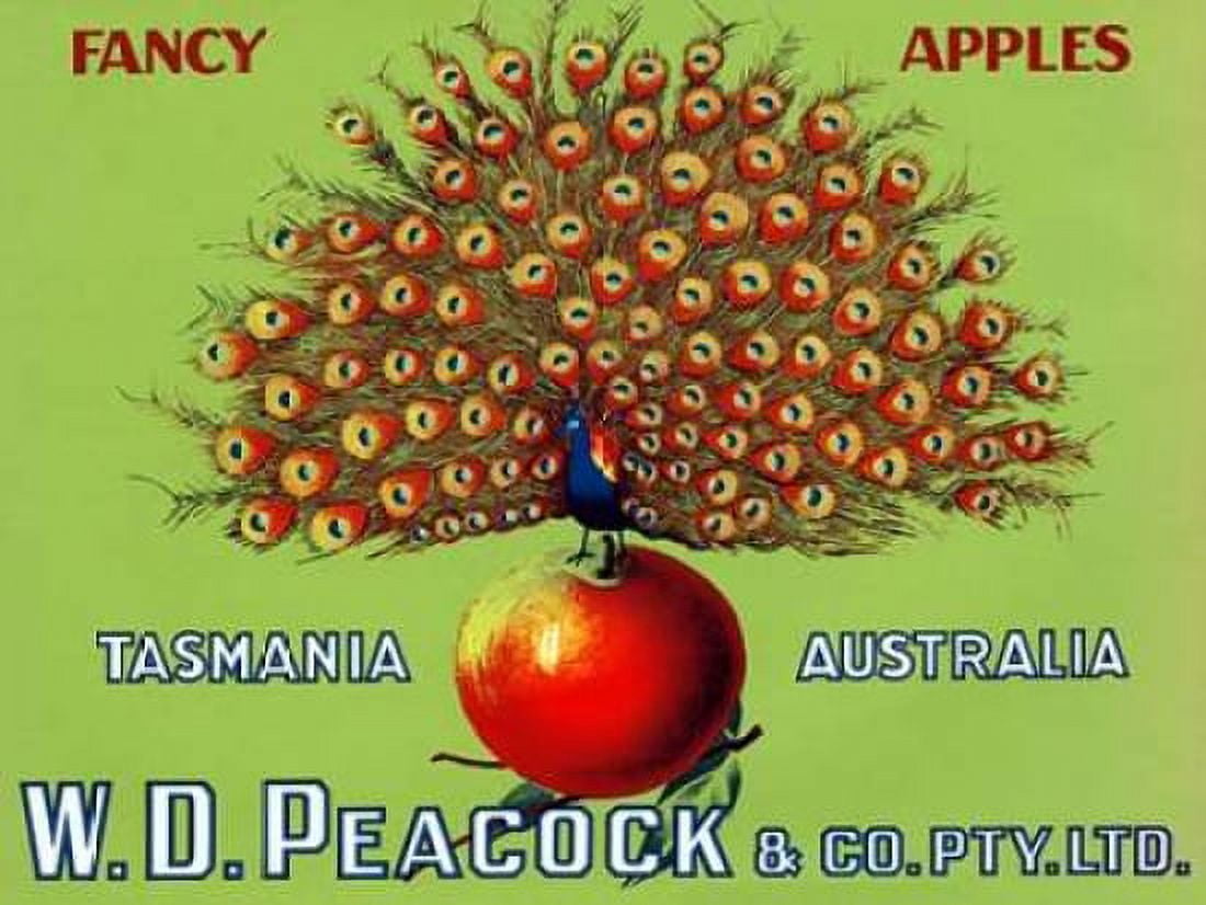 WD Peacock Fancy Apples Canvas Art - Retrolabel (18 x 24)