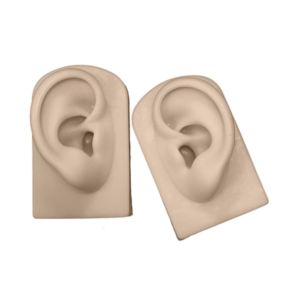 WE-POLUJ Professional Silicone Left Right Ear Mold for Jewelry Displays Human Ear Model