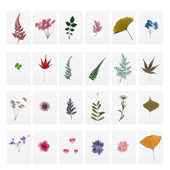 WE-POLUJ Creative Mix Pressed Leaves Dried Plants Specimen Fillers Natural Dry Leaves for Art Craft DIY Epoxy Resin Jewelry D
