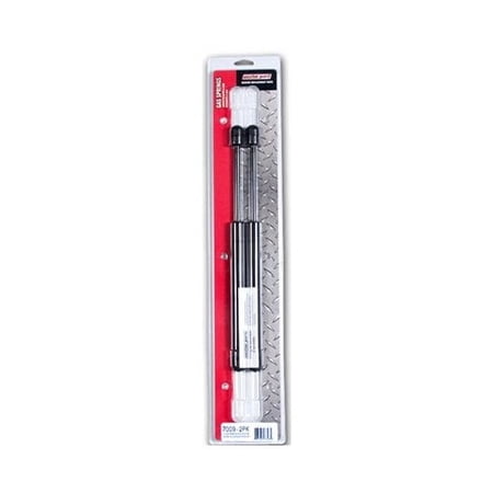 WEATHERGUARD 7917-2PK PAIR TOOLBOX SHOCKS