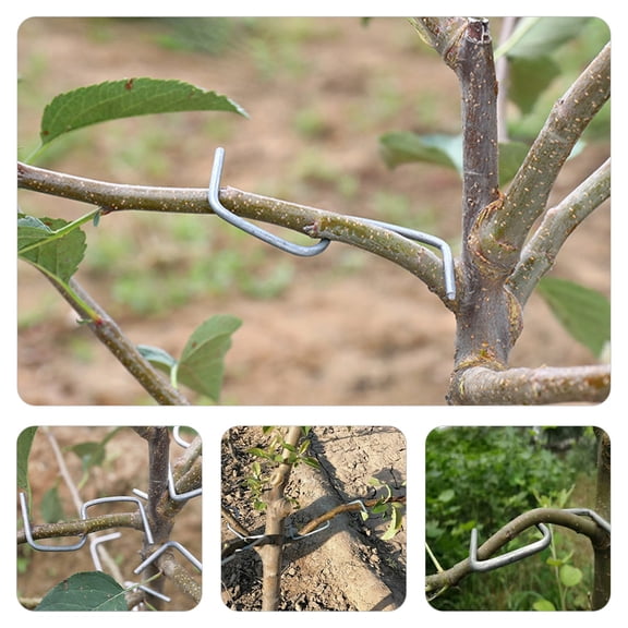 WEAVILUX Tree Branch Benders 1 Set Steel Wire Gardening Tools for Plant Growth Direction Control and Training