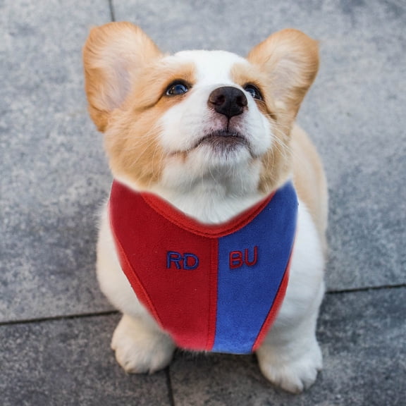 WEAVILUX Adjustable Pet Vest Suede Soft Comfortable Dog Cat Walking Safety Outdoor Vest