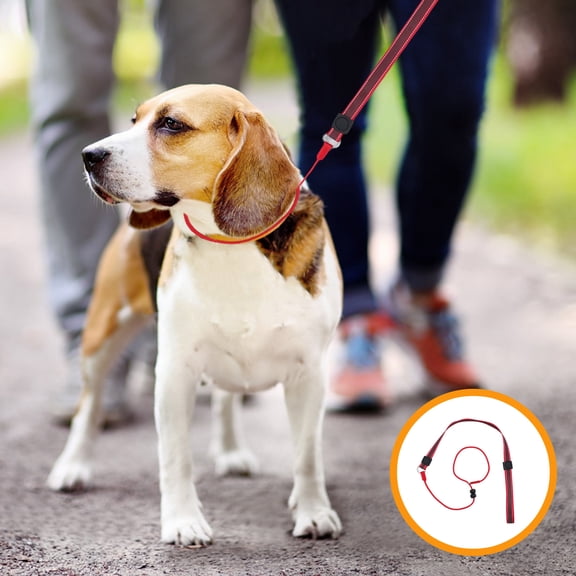 WEAVILUX Anti Pull Dog Training Leash in Red Polyester Slip Lead for Management