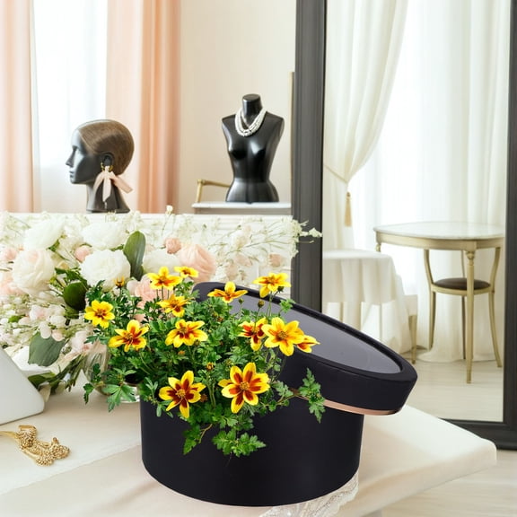 WEAVILUX 2-Pack Valentines Day Box Round Floral Holder Transparent for Special Occasions and Celebrations