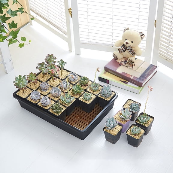 WEAVILUX 44.5X30X8.5In Garden Propagator for Home users Gardeners with Breathable Function planting tray