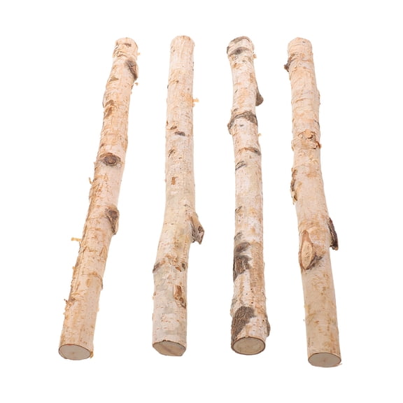 WEAVILUX 4Pcs Natural Birch Wood Logs for Fireplace Versatile Rustic Decor with Authentic Bark Texture