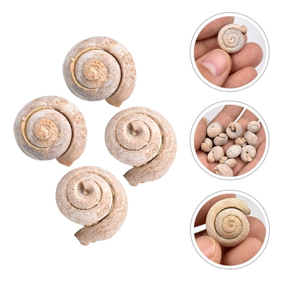 WEAVILUX Khaki Snail Figurine Set 4Pcs - Decorative Model for Home, Table, Classroom, and Teaching Display