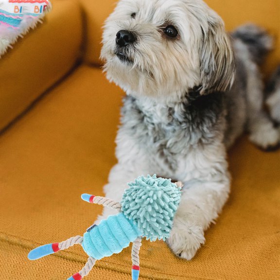 WEAVILUX Dog Tug Squeakers Dog Tug Toy Plush Sky Blue 1 Set Interactive Play Training Sessions