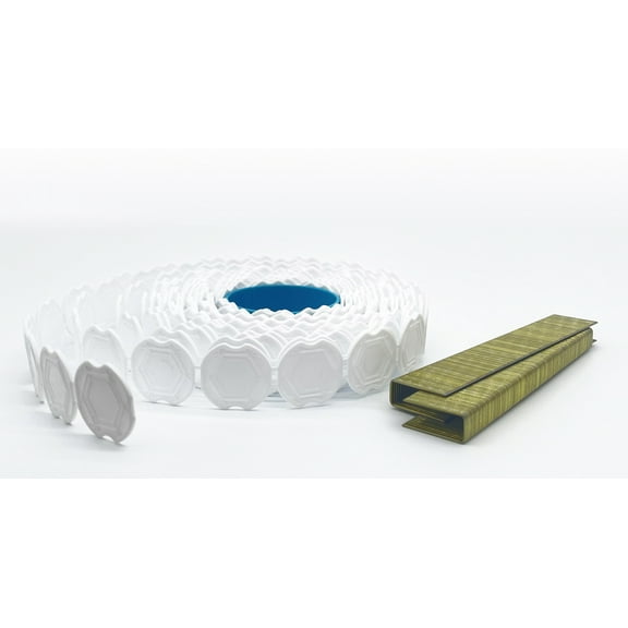 WEBCAP Collated Plastic Caps and 7/8" Staples