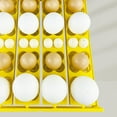 WEDURLA Automatic Egg Incubator Tray for Goose Duck Quail and Chicken 24 Eggs Turning Tray for