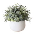 thumbnail image 1 of WEGFTDUOP Desktop Decoration Simulation Potted Decoration Small Artificial Plants Suitable For Living Room Countertops Windowsills Desktop Decoration Holiday Products, 1 of 6