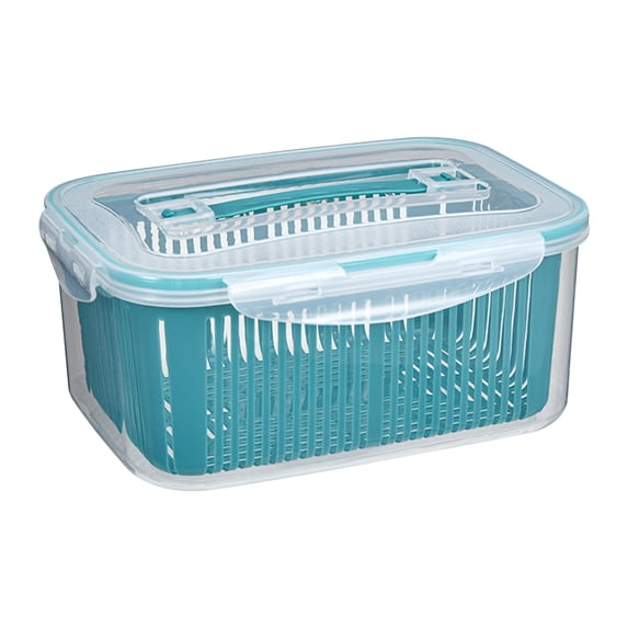 WEGFTDUOP Fruit Vegetable Storage Container for Fridge,1Pc Clear BPA-Free PP Drainage Box with Lid, Airtight Produce Keeper,Dehydration Wash Container for Berries Veggies Meat Meal Prep