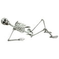 thumbnail image 1 of WEGFTDUOP Halloween Decoration 170cm Halloween Skeleton Prop Human Full Size Skull Hand Life Body Anatomy Model DecorHalloween Indoor Outdoor Decoration, 1 of 7