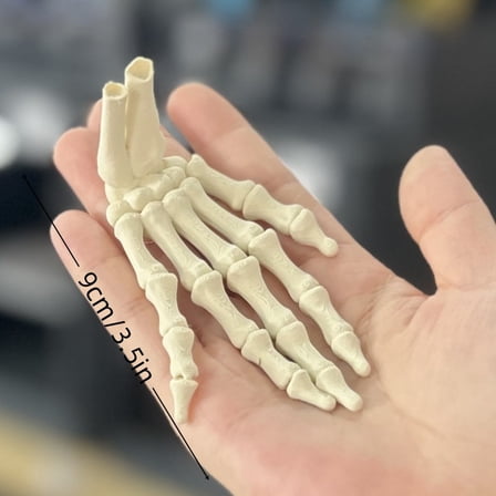 WEGFTDUOP Halloween Decoration Halloween Figurine Model Of Skeleton Hand With Movable Joints Halloween Indoor Outdoor Decoration