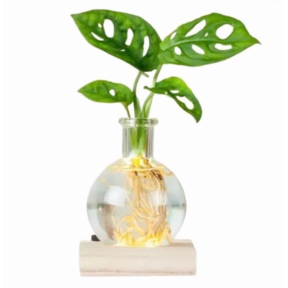 WEGFTDUOP LED Hydroponic Vase Round Glass Planter With Lighted Wooden Base