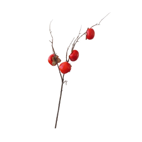 WEGFTDUOP Simulation Of Lychee Fruit Branches For A Garden-style Living Room Display Piece For A Window Display Wedding Decoration And Shooting Props, Artificial Flowers for Outdoors