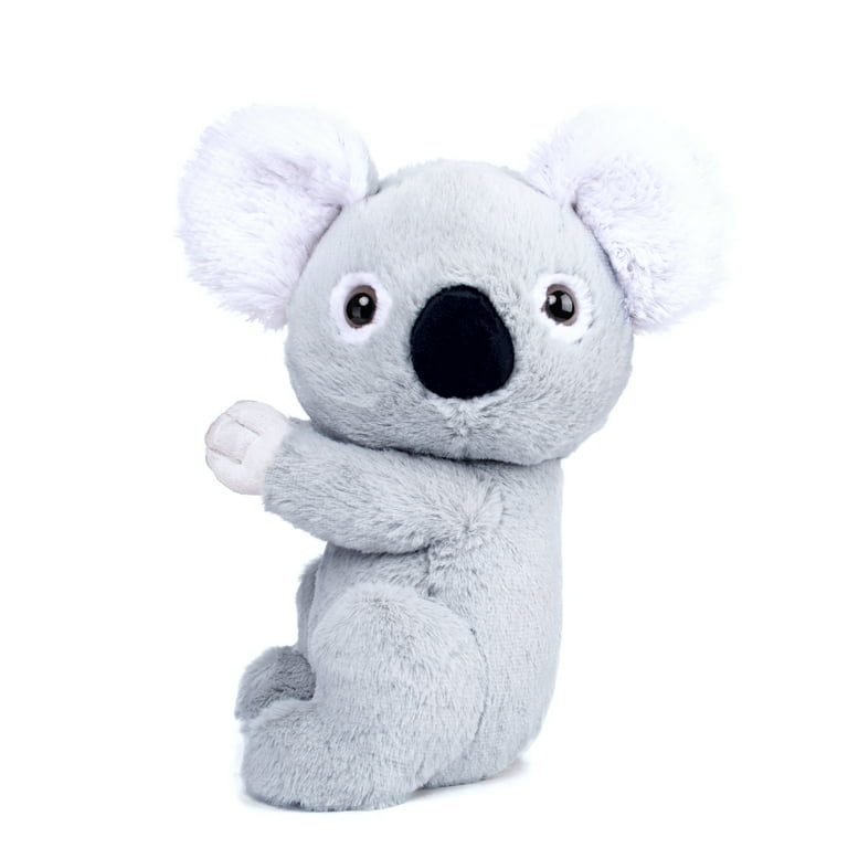 289652_koala_callout.jpg?v=