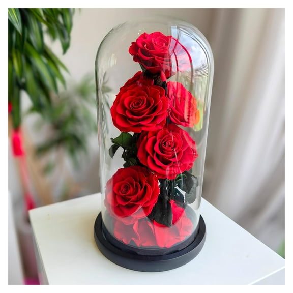 WEILEHAPPY Flowers for Delivery Preserved Flowers Gifts,Large Preserved Roses in Glass Dome with LED Lights - Eternal Forever Real Roses, Birthday for Wife Mom Girlfriend Y101