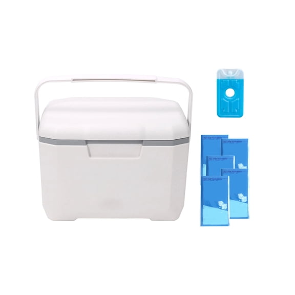 WEIOUKC 6L Insulated Portable Chiller Multipurpose Leakproof Storage Case Outdoor, Food-Grade Liner for Camping, BBQ & Beach