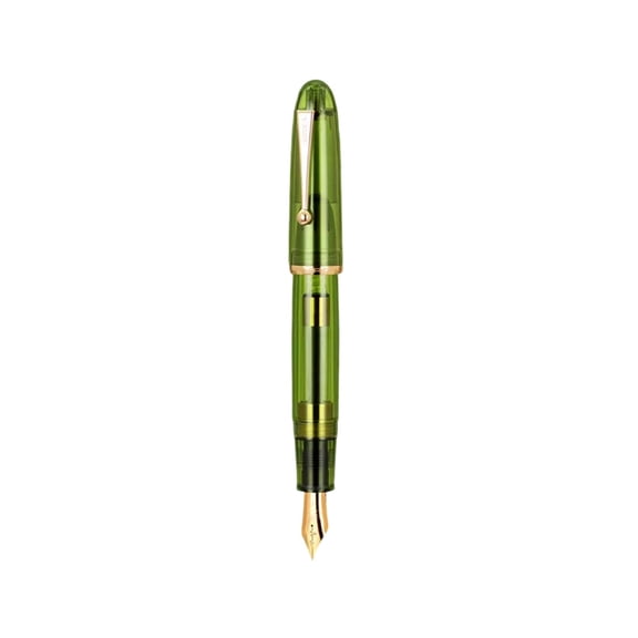 WEIOUKC Jinhao Fountain Pen, Extra Fine Nib with Large Converter,Elegant Writing Instrument for Professionals