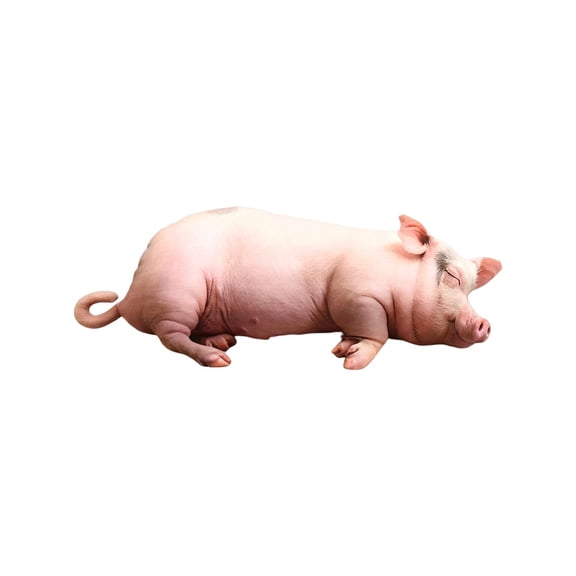 WEIOUKC Ultra Realistic Pig Plush Pillow, Lifelike Sleeping Pig Stuffed Animal Toy, Soft Cuddly Piglet Body Pillow for Kids & Adults, Comforting Sensory Plush for Nap, Couch & Bedroom Decor