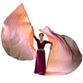 WEISIPU Worship Flags Set(2 Flags+2 Sticks) for Dance Church Flags for ...