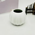 thumbnail image 1 of WEIWEIGG Pumpkin Shape Plastic Vase for Flower Dry Flower Hydroponic Planter Decorative Vase for Home Room Office Party Wedding, 1 of 6