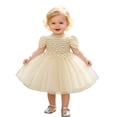 thumbnail image 1 of WEIWEN Flower Girl Dress for Wedding Baby Toddler Girls Lace Short Sleeve Embroidered 1st Birthday Party Graduation Ceremony Pageant Dresses Yellow, 3-6 Months, 1 of 9