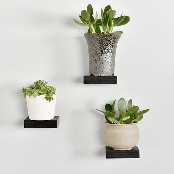 WELLAND 4" Showcase Display Floating Shelves Corner Rack, Set of 3, Espresso