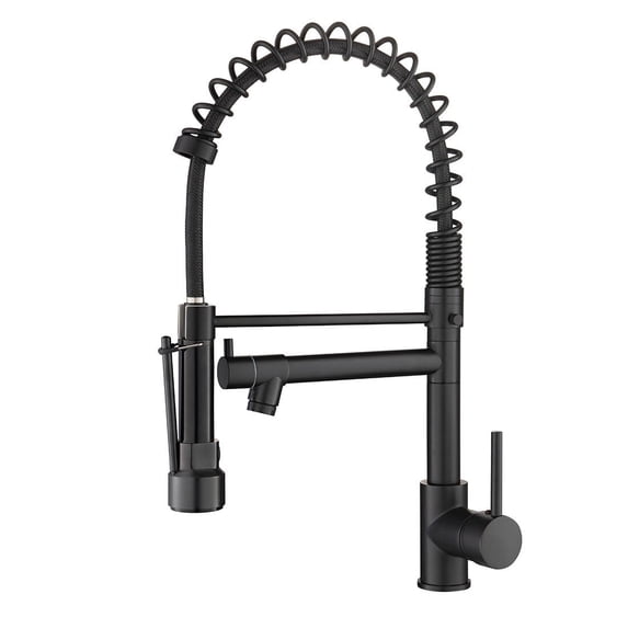 ANGELES HOME Commerical Kitchen Faucet with Sprayer, Single Handle Pull Down Sprayer Kitchen Sink Faucet with LED Light Two Spout, Matte Black