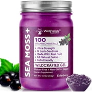 WELLNESS LABSRX Irish Sea Moss Gel - Wildcrafted Raw Seamoss Gel for Immune Support, Healthy Digestion - Elderberry Flavor