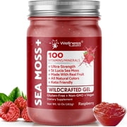 WELLNESS LABSRX Irish Sea Moss Gel - Wildcrafted Raw Seamoss Gel for Immune Support, Healthy Digestion - Raspberry Flavor