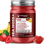 WELLNESS LABSRX Irish Sea Moss Gel - Wildcrafted Raw Seamoss Gel for Immune Support, Healthy Digestion - Strawberry Banana