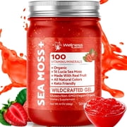 WELLNESS LABSRX Irish Sea Moss Gel - Wildcrafted Raw Seamoss Gel for Immune Support, Healthy Digestion - Strawberry Flavor