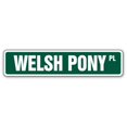 thumbnail image 1 of WELSH PONY Street Sign mountain horse breeder rider horseback | Indoor/Outdoor |  36" Wide, 1 of 5