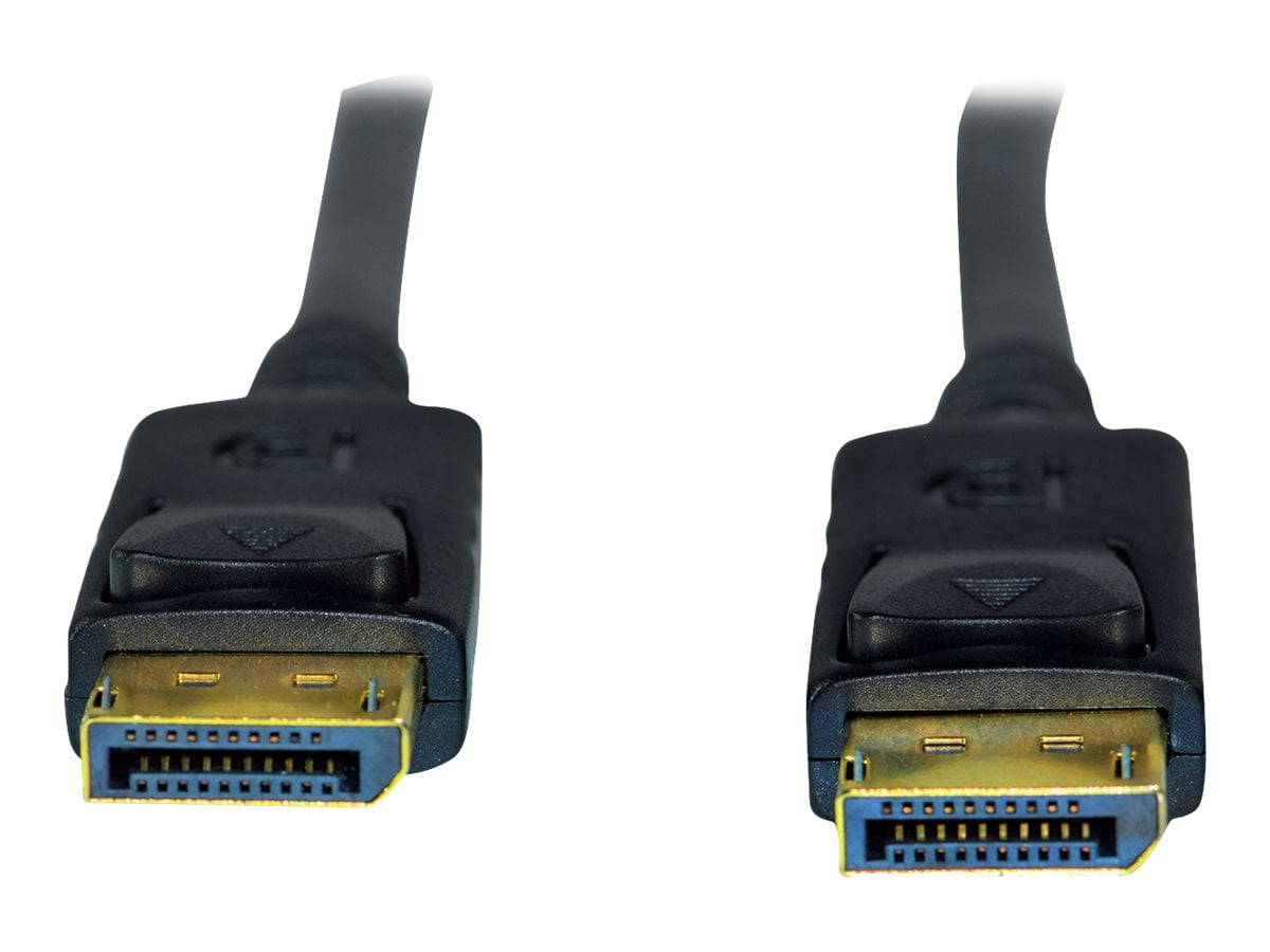 Weltron DisplayPort Audio/Video Cable