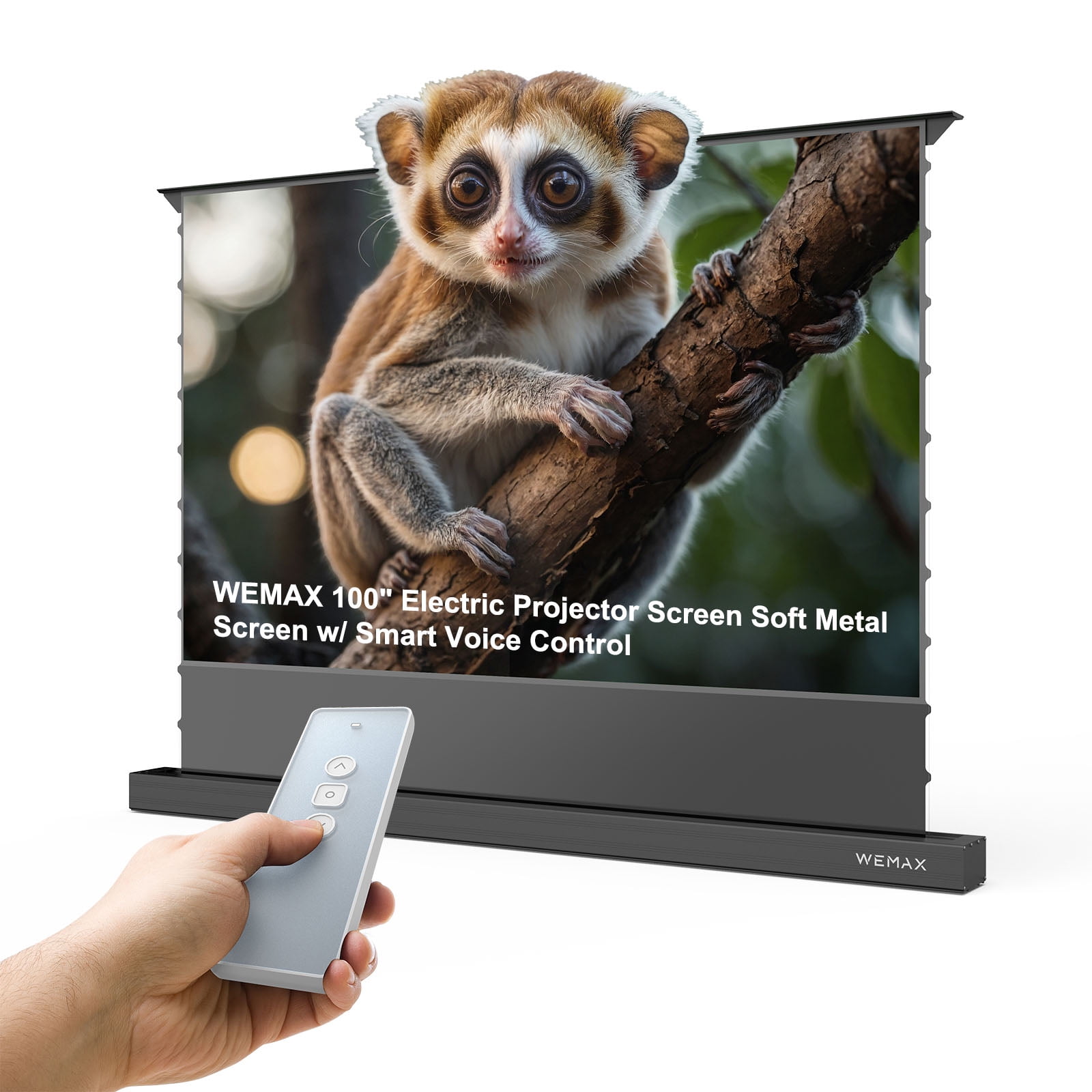 WEMAX Projector Screen for Ultra Short Throw Projector, 100" Electric ALR Screen w/ Smart Voice Control, 0.8 Gain, 95% Ambient Light Rejecting, 4K/8K Ultra HD, 170 Motorized Floor-Rising Projection