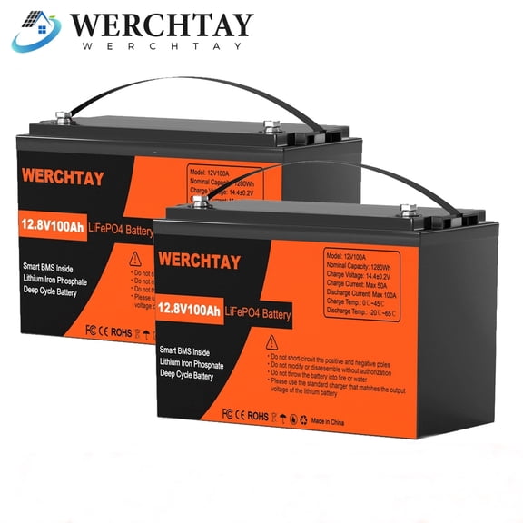 WERCHTAY 24V 100Ah LiFePO4 Lithium Battery 2Pack 12V 100Ah BMS Solar For Boat RV Off-grid