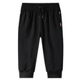 thumbnail image 1 of WERYOUNG Men 3/4 Jogger Capri Pants Workout Gym Below Knee Shorts Zipper Pockets Trousers Leisure Trunks, Black, L, 1 of 8