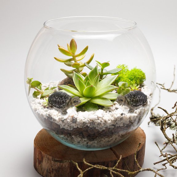 WESIEVYA 10Pcs Small Resin Turtles Micro Landscape Decorations for Cake and Fish Tank Display