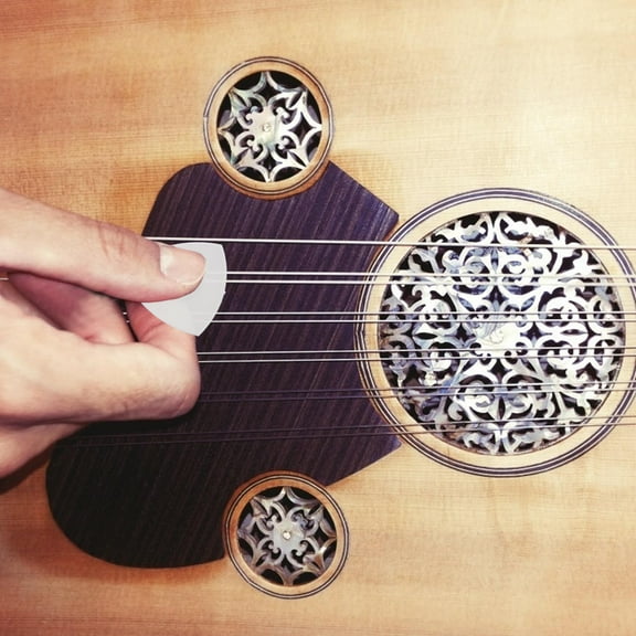 WESIEVYA 12Pcs Nylon Guitar Picks for Daily Use Professional Design Anti-slip Function and Transparent