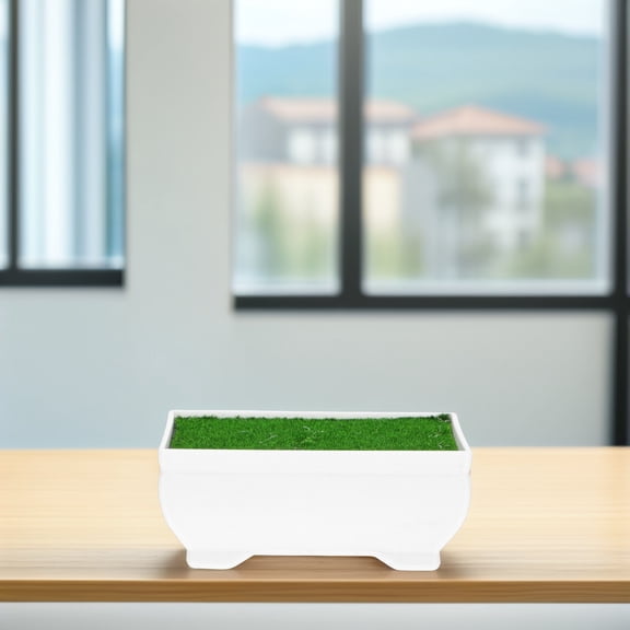 WESIEVYA 1Set Plastic Bonsai Container with Novel Design Perfect for Garden and Home Decoration