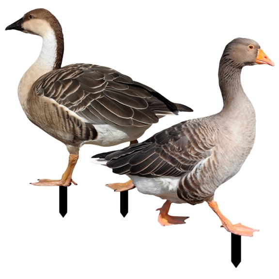 WESIEVYA 2Pcs Acrylic Yards Art Garden Stakes Animal Lawn Decoration for Outdoor Patio and Yard Display