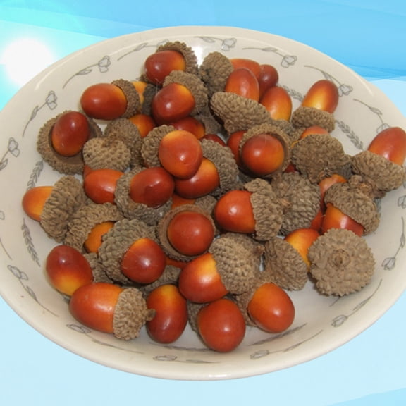 WESIEVYA 50Pcs Brown Simulation Acorn Model Artificial Acorn Decor for Home and Office Decoration