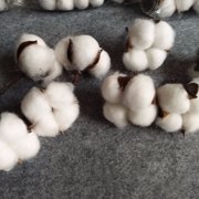 WESIEVYA Cotton Flower Decor Multi Colored Artificial for Rustic Events