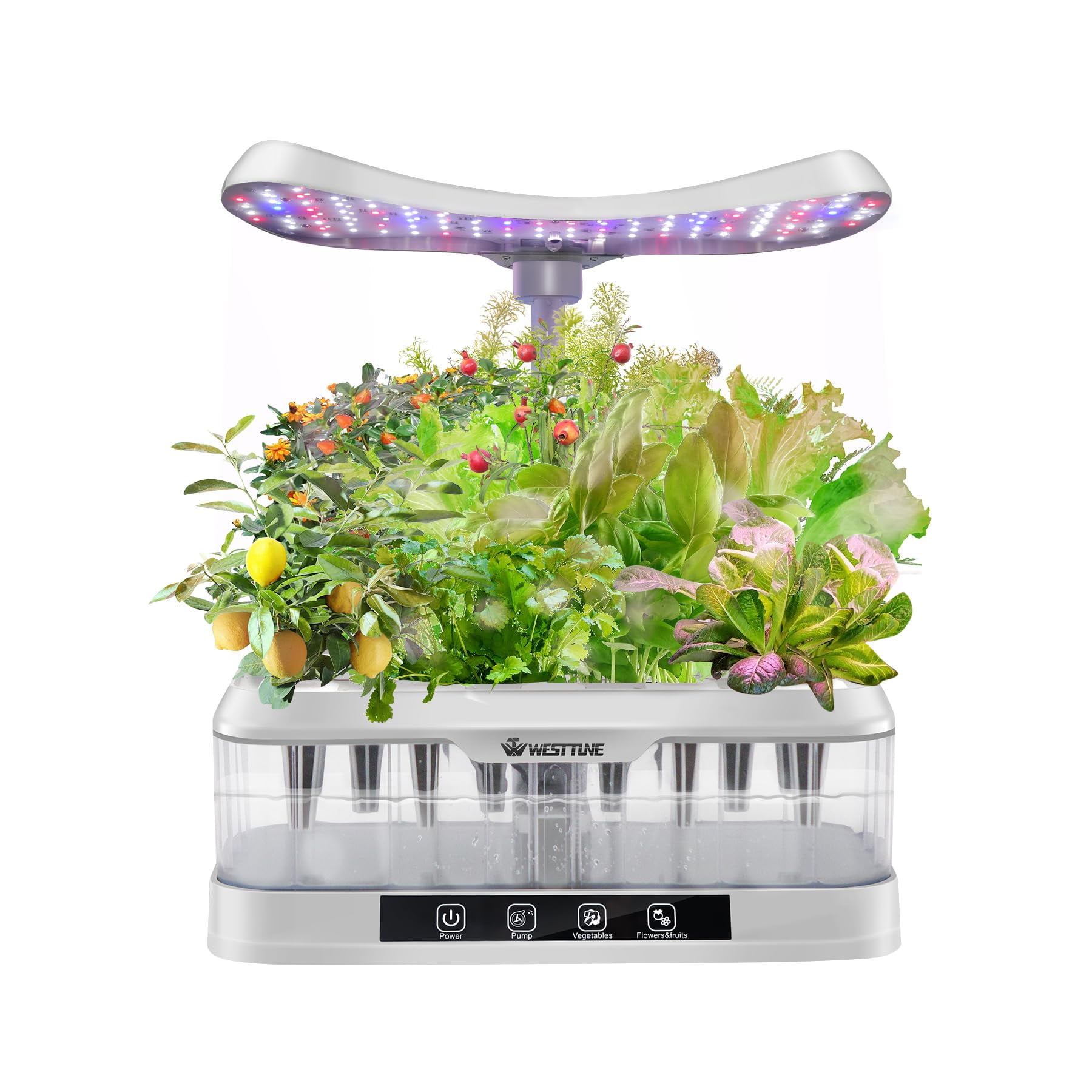 WEST TUNE 12 Pods DHF10 Hydroponics Growing System, Transparent Tank