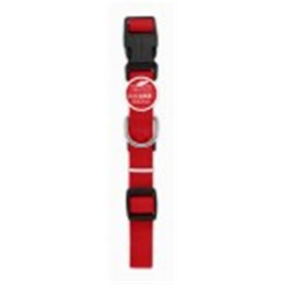 WESTMINSTER PET PRODUCTS 31878TV Pet Expert 1x26 RED Dog Collar