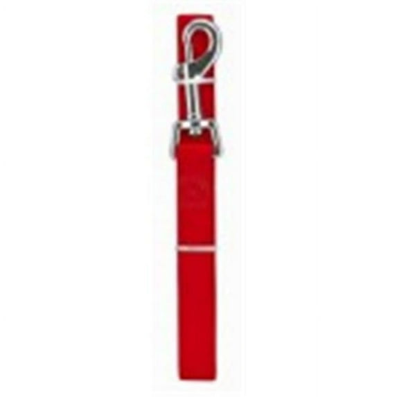 WESTMINSTER PET PRODUCTS 31953TV Pet Expert 3/4x6 Pink Dog Leash