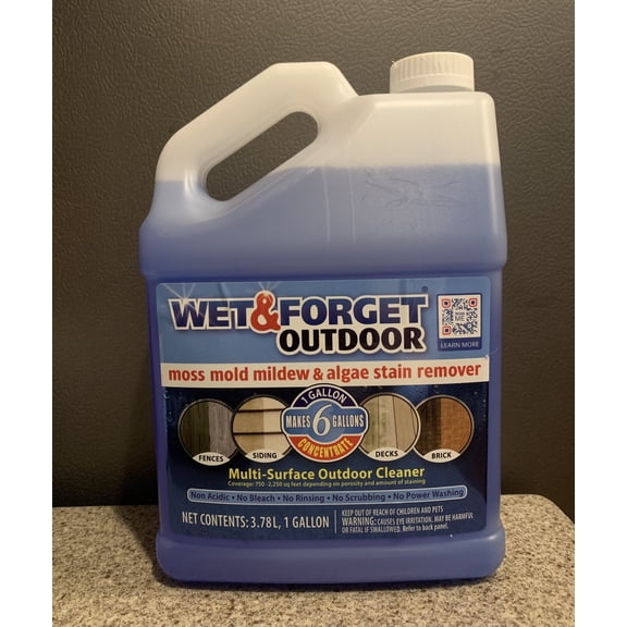 WET & FORGET Mold Mildew STAIN REMOVER 1 Gallon Moss Algae Multi Surface Cleaner